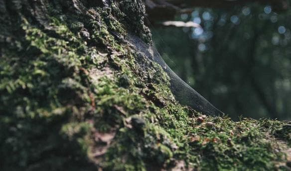 QA Placeholder Image 1