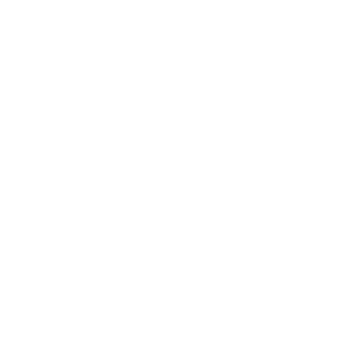 nis2